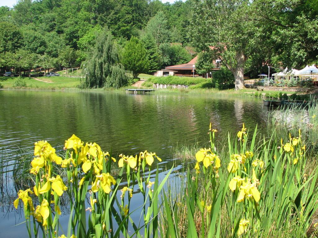 Vvf Les Vosges Bitche Otel Dış mekan fotoğraf